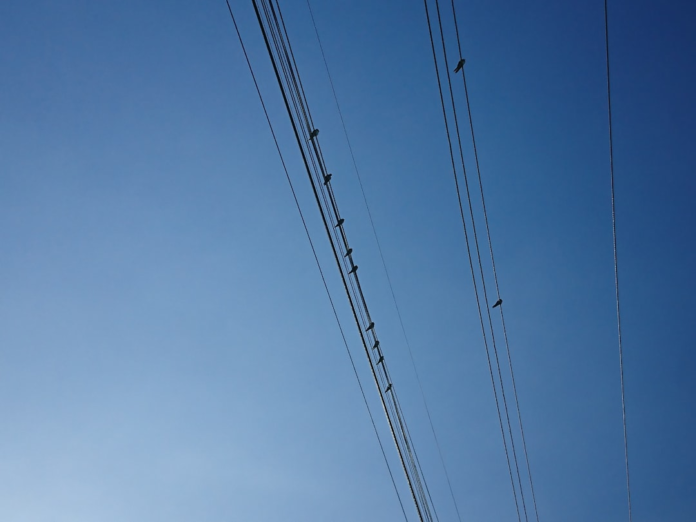 Silhouetted birds rest uniformly on parallel power lines against a clear blue sky, illustrating a structured system for effective communication and engagement.