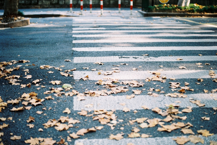 A sunlit pedestrian zebra crossing on an asphalt road, covered with scattered autumn leaves, represents a clear path amidst natural change and choices.