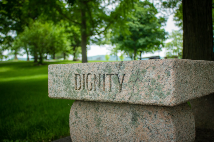 A sturdy stone block with the word 'DIGNITY' carved into its mossy surface rests in a peaceful, sunlit park setting, metaphorically representing the integrity and lasting value of effective Odoo email marketing campaign strategies.