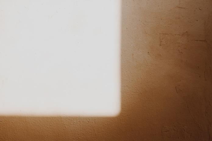 A textured wall sharply divided by bright sunlight on the left and deep shadow on the right, representing the distinction between active and inactive engagement.