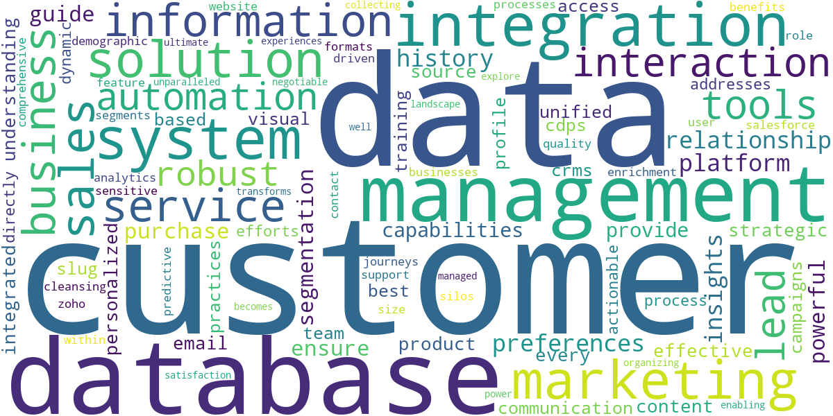 Word cloud for article: Customer Database Management & CRM Integration