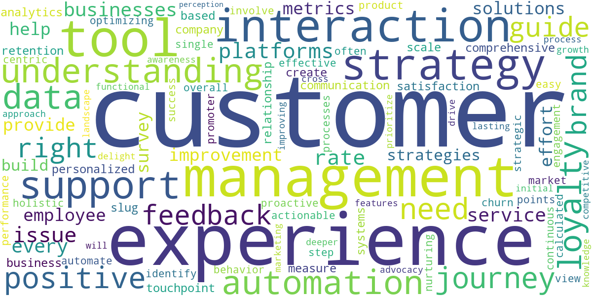 Word cloud for article: Customer Experience Management: Tools and Strategies