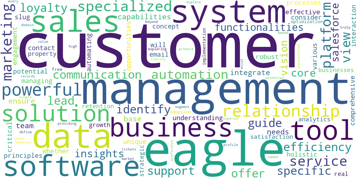 Word cloud for article: Eagle CRM: Powerful Customer Management Tool