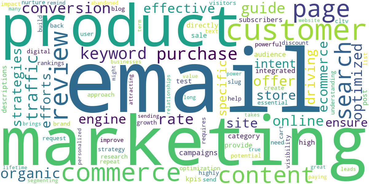 Word cloud for article: Ecommerce SEO & Email Marketing: Effective Strategies