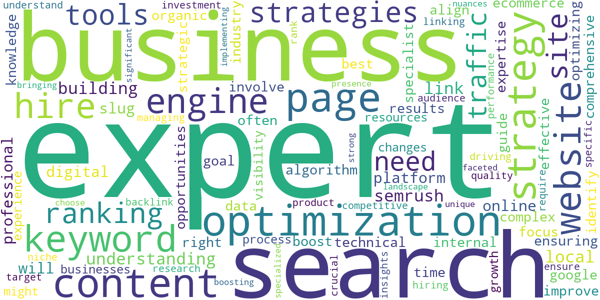 Word cloud for article: Hire Top SEO Experts: Boost Your Website's Ranking